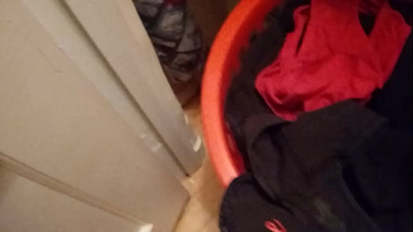 Laundry Day Gets Steamy: She Loves a Good Sniff!