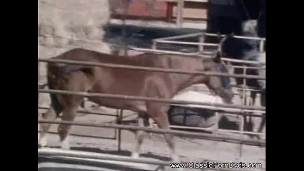 Backyard Booty Call: Someone's Watchin'!