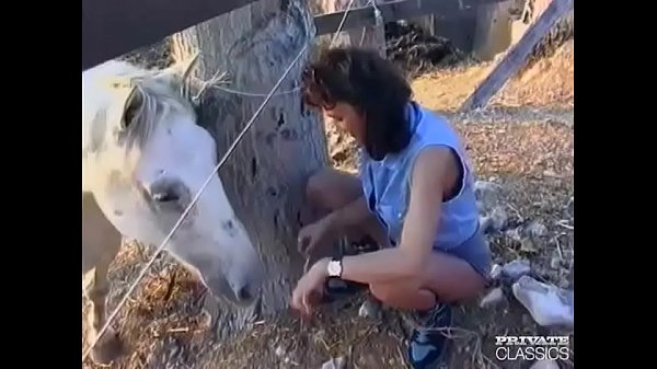 Brunette Gets Bucked in the Barnyard