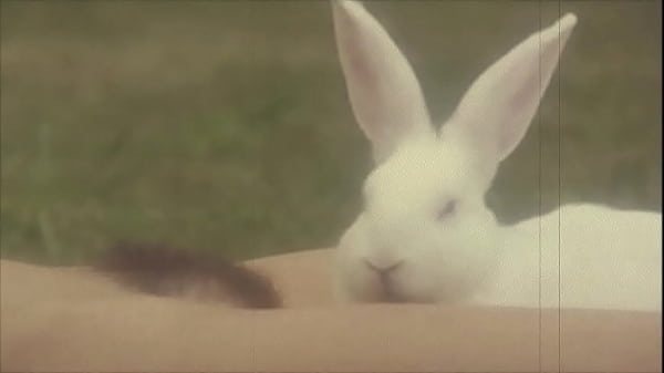 Bunny's Got a Hairy Surprise