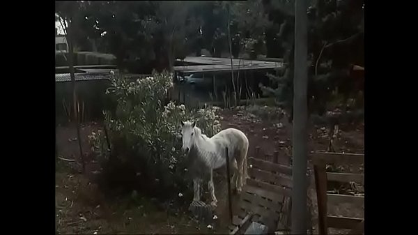 Old Lady Gets Wild in the Backyard