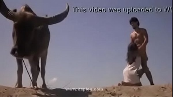 Buffalo Witnessed This Wild Ride