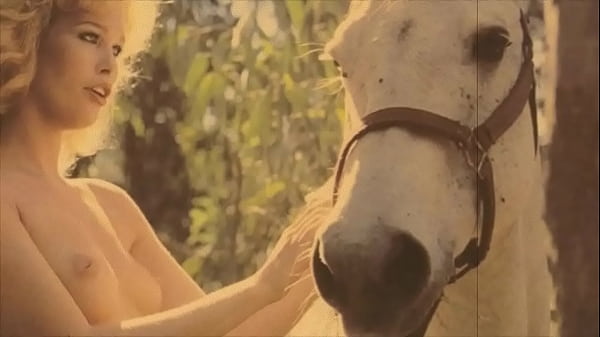 Golden Goddess & Her Stallion