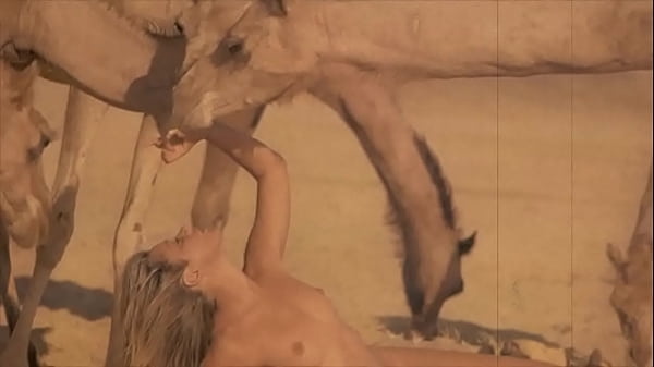 Horseback Ride to Wetness